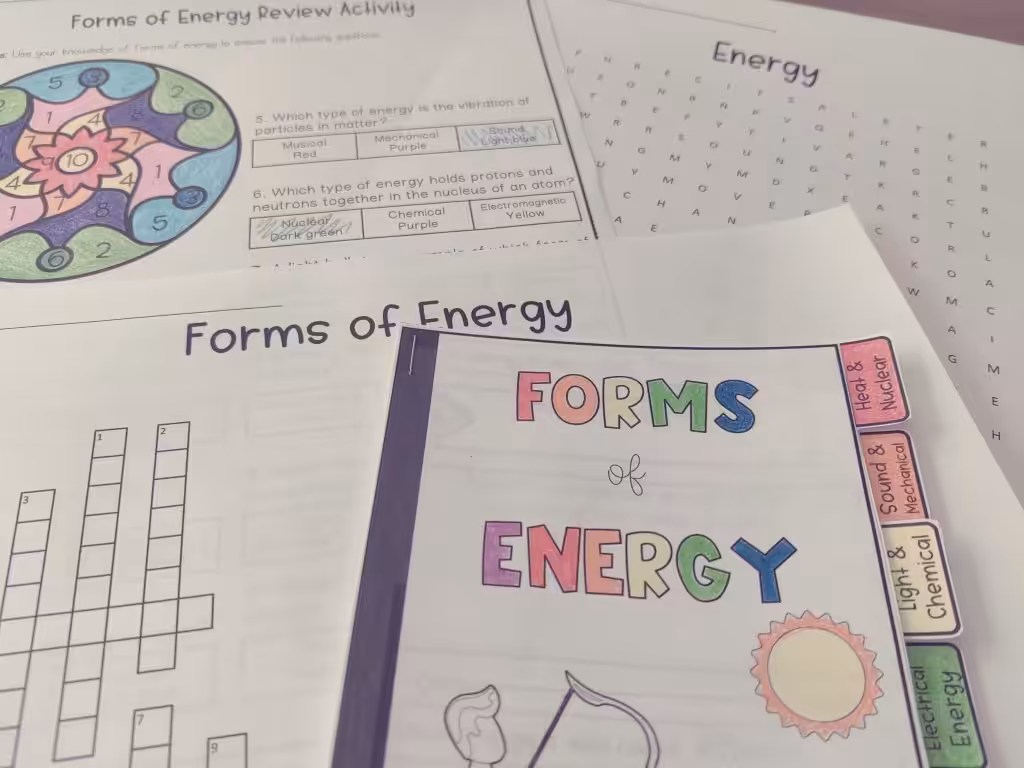 Energy review activities