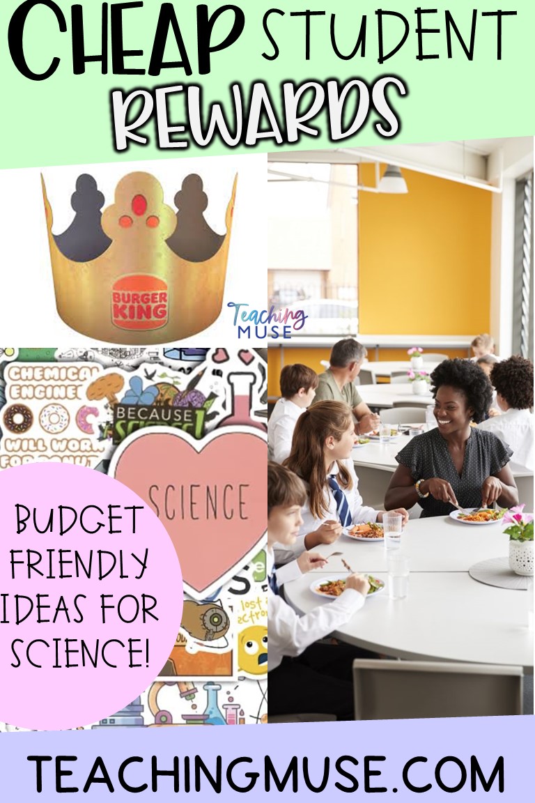 Science Classroom Management Strategies for Labs grade 6 7 8
