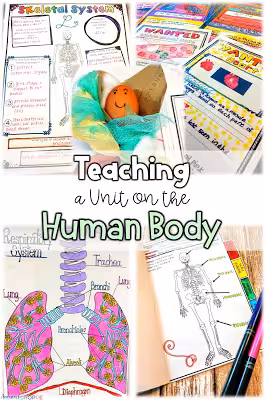 Human Body Systems teaching science without curriculum or materials