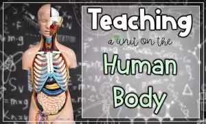 teaching the human body systems