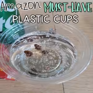 Ways to use plastic cups in the upper elementary science classroom