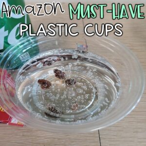 Ways to use plastic cups in the upper elementary science classroom