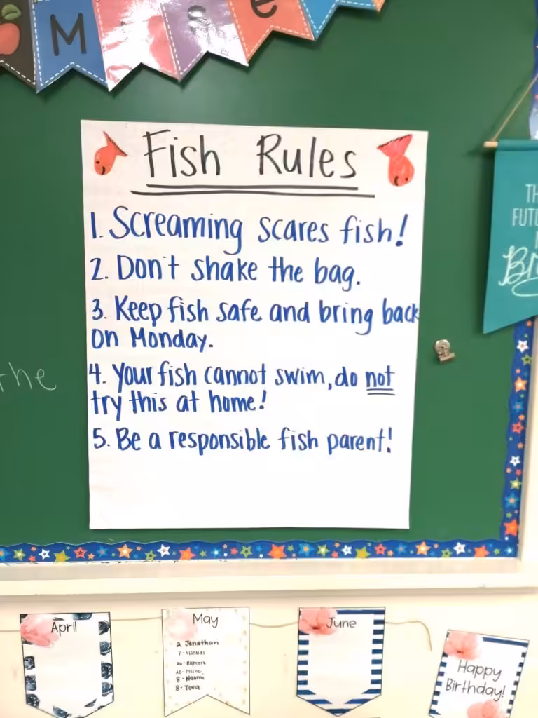 scientific method activity to engage students in grades 5 to 8