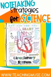 teaching the sketch note strategy in science