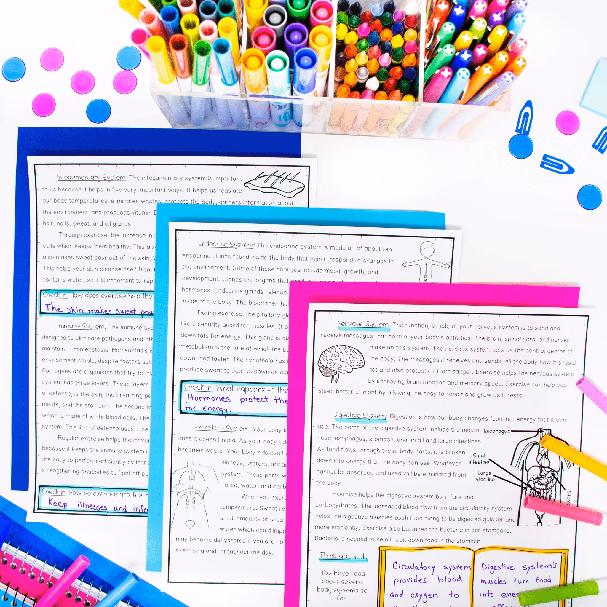 fun science activities for grade 5