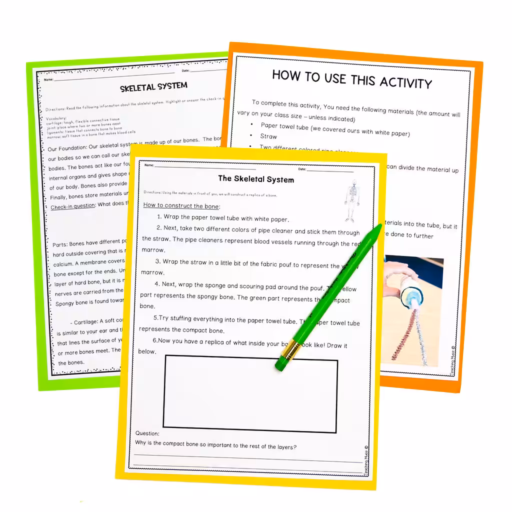 skeletal system science