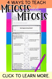 4 ways to teach mitosis and meiosis
