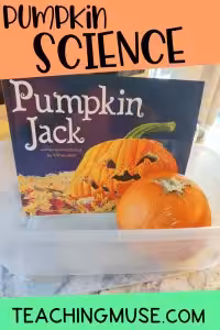 pumpkin science pin