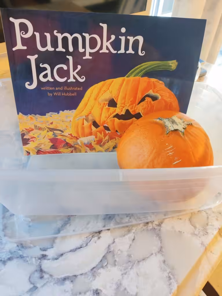 Materials for pumpkin science activity