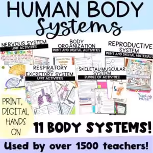 Unit to teach the human body systems