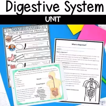 Digestive System Unit 1 Digestive System Unit