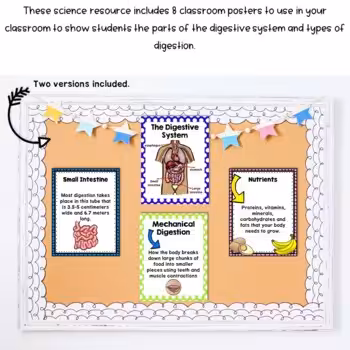 Digestive System Unit 2 Digestive System Unit - Image 2