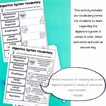 Digestive System Unit 3 Digestive System Unit - Image 3