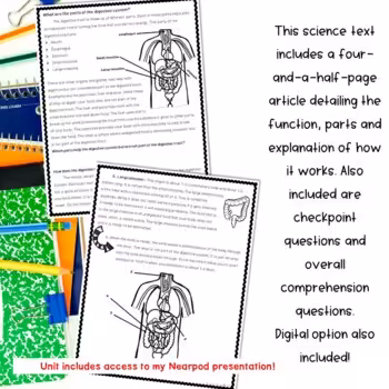 Digestive System Unit 4 Digestive System Unit - Image 4