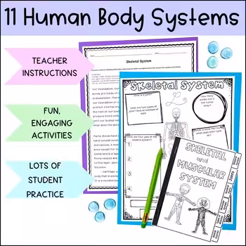 Human Body Systems Unit 3 Human Body Systems Unit - Image 3