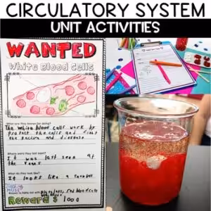 Circulatory System Unit