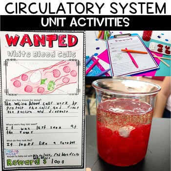 Circulatory System Unit 1 Circulatory System Unit