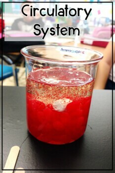 Circulatory System Unit 3 Circulatory System Unit - Image 3