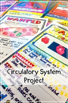 Circulatory System Unit 4 Circulatory System Unit - Image 4