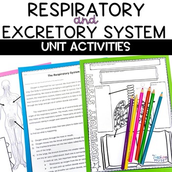 Respiratory and Excretory System Unit 1 Respiratory and Excretory System Unit