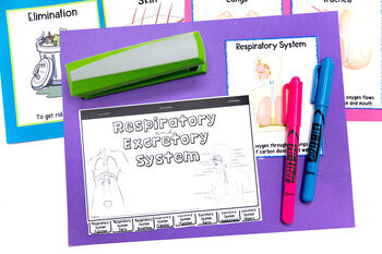 Respiratory and Excretory System Unit 2 Respiratory and Excretory System Unit - Image 2