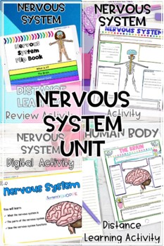 Nervous System Activities 2 Nervous System Activities - Image 2