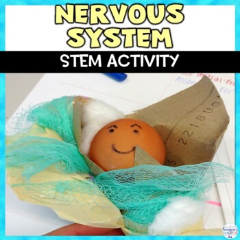 Nervous System Activities 3 Nervous System Activities - Image 3
