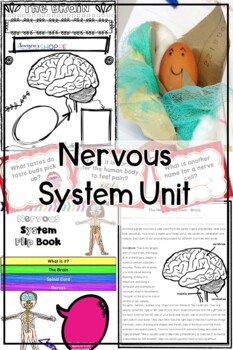 Nervous System Activities 4 Nervous System Activities - Image 4