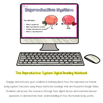 Reproductive Human Body System Activity 4 Reproductive Human Body System Activity - Image 4