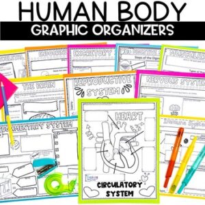 Human Body Systems Review Worksheets Graphic Organizers 5th 6th 7th Grade