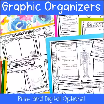 Human Body Systems Review Worksheets Graphic Organizers 5th 6th 7th Grade 2 Human Body Systems Review Worksheets Graphic Organizers 5th 6th 7th Grade - Image 2