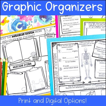 Human Body Systems Review Worksheets Graphic Organizers 5th 6th 7th Grade 2 Human Body Systems Review Worksheets Graphic Organizers 5th 6th 7th Grade - Image 2
