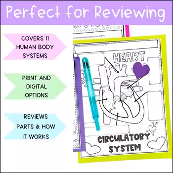 Human Body Systems Review Worksheets Graphic Organizers 5th 6th 7th Grade 3 Human Body Systems Review Worksheets Graphic Organizers 5th 6th 7th Grade - Image 3