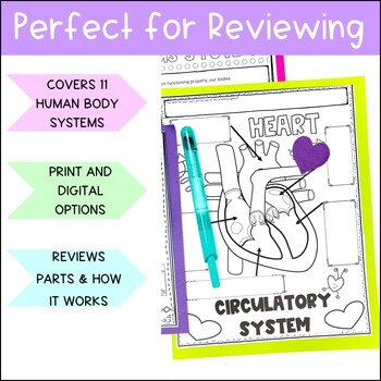 Human Body Systems Review Worksheets Graphic Organizers 5th 6th 7th Grade 3 Human Body Systems Review Worksheets Graphic Organizers 5th 6th 7th Grade - Image 3