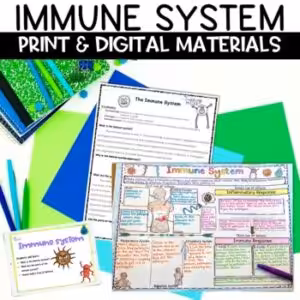 Immune System Activity for Human Body