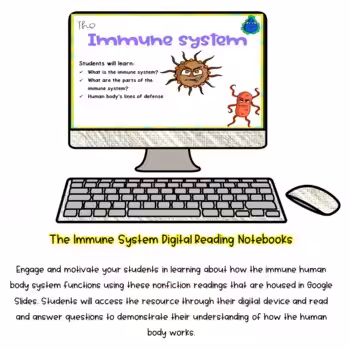 Immune System Activity for Human Body 3 Immune System Activity for Human Body - Image 3