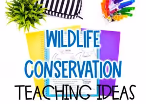 Ideas for Teaching Wildlife conservation