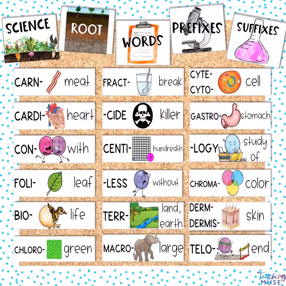 science vocabulary activities to get students to comprehension their meaning