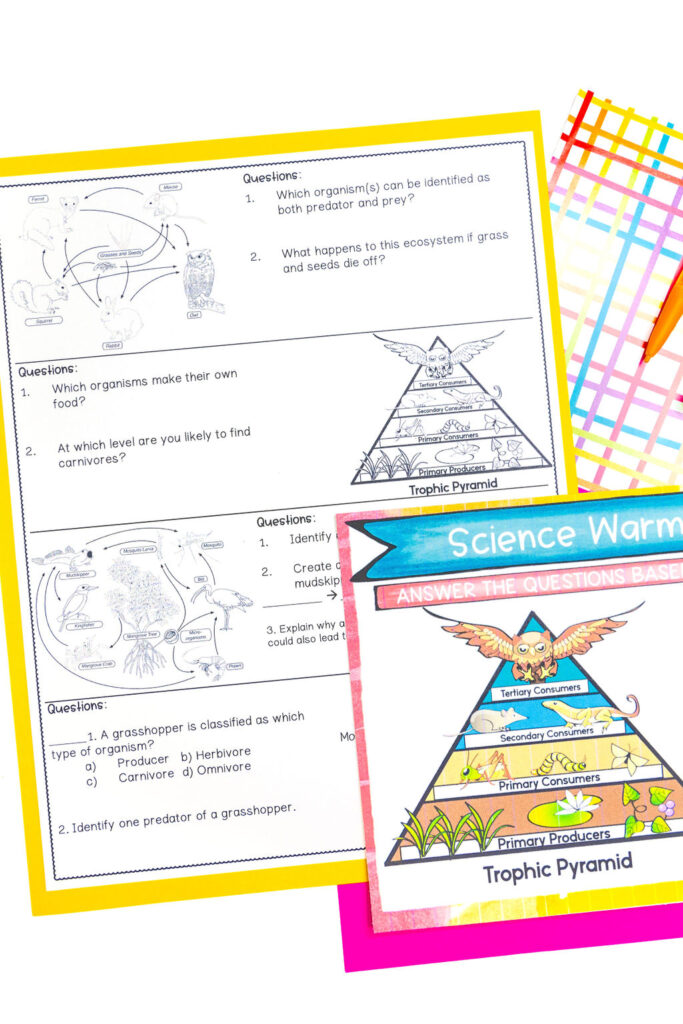 Set up bell ringer routines in science class