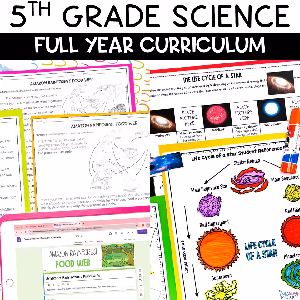 how to plan 5th grade science using the deep vs wide ngss method