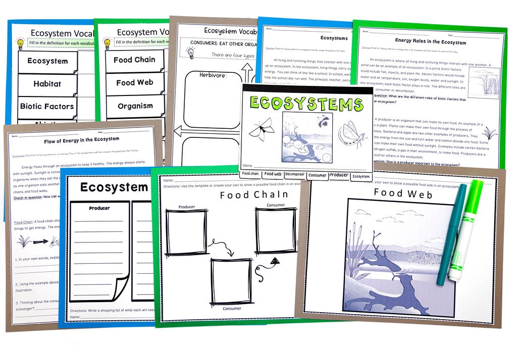 How to Plan 5th Grade Science Without Getting Overwhelmed by the Standards 1 How to Teach 5th grade science with ecosystems