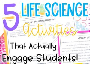Learn what to teach in middle school life science with these 5 activities
