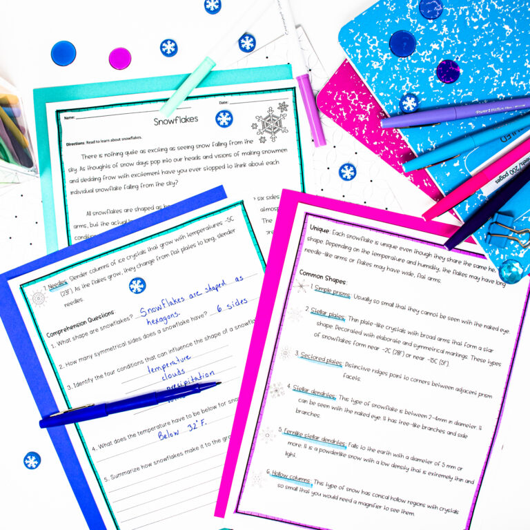 snowflake activity pic