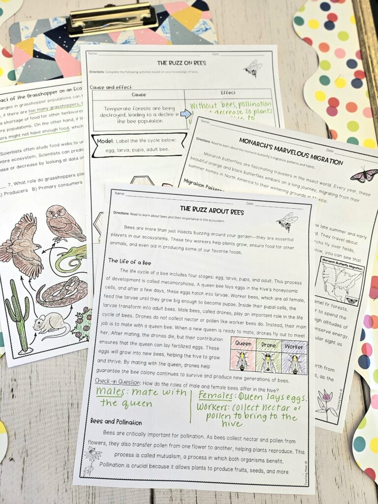reading and literacy skills in science using insects worksheets