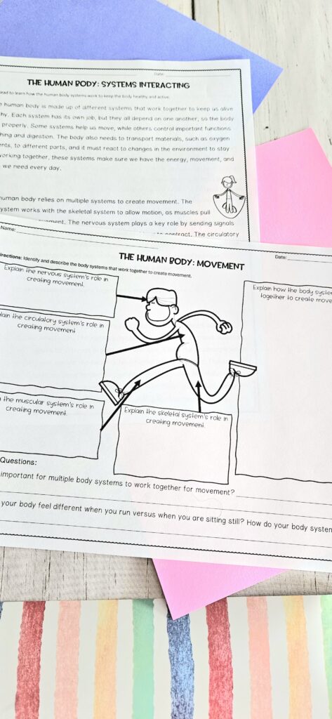human body systems working together