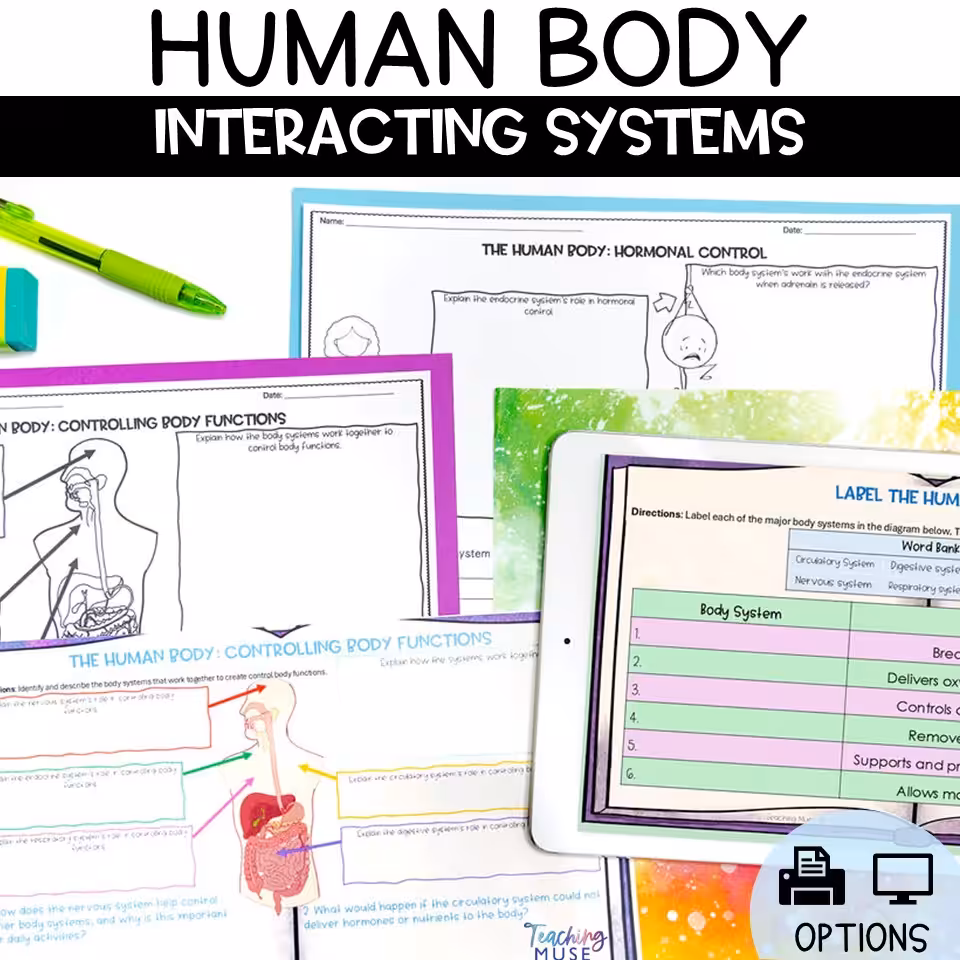 Interactions in the human body