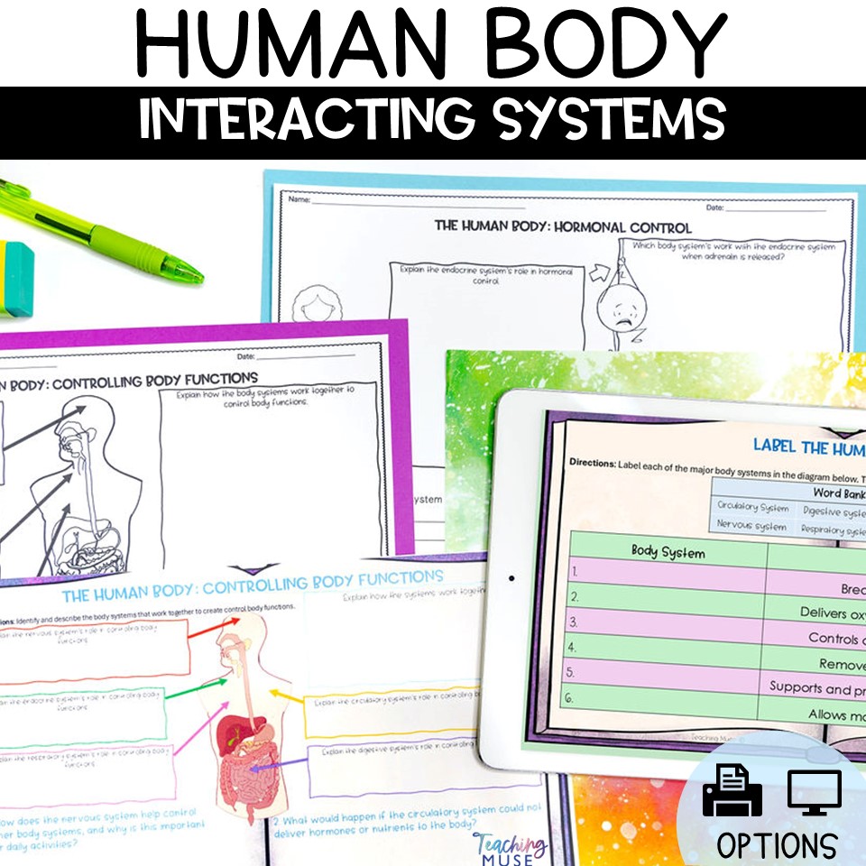 Interactions in the human body