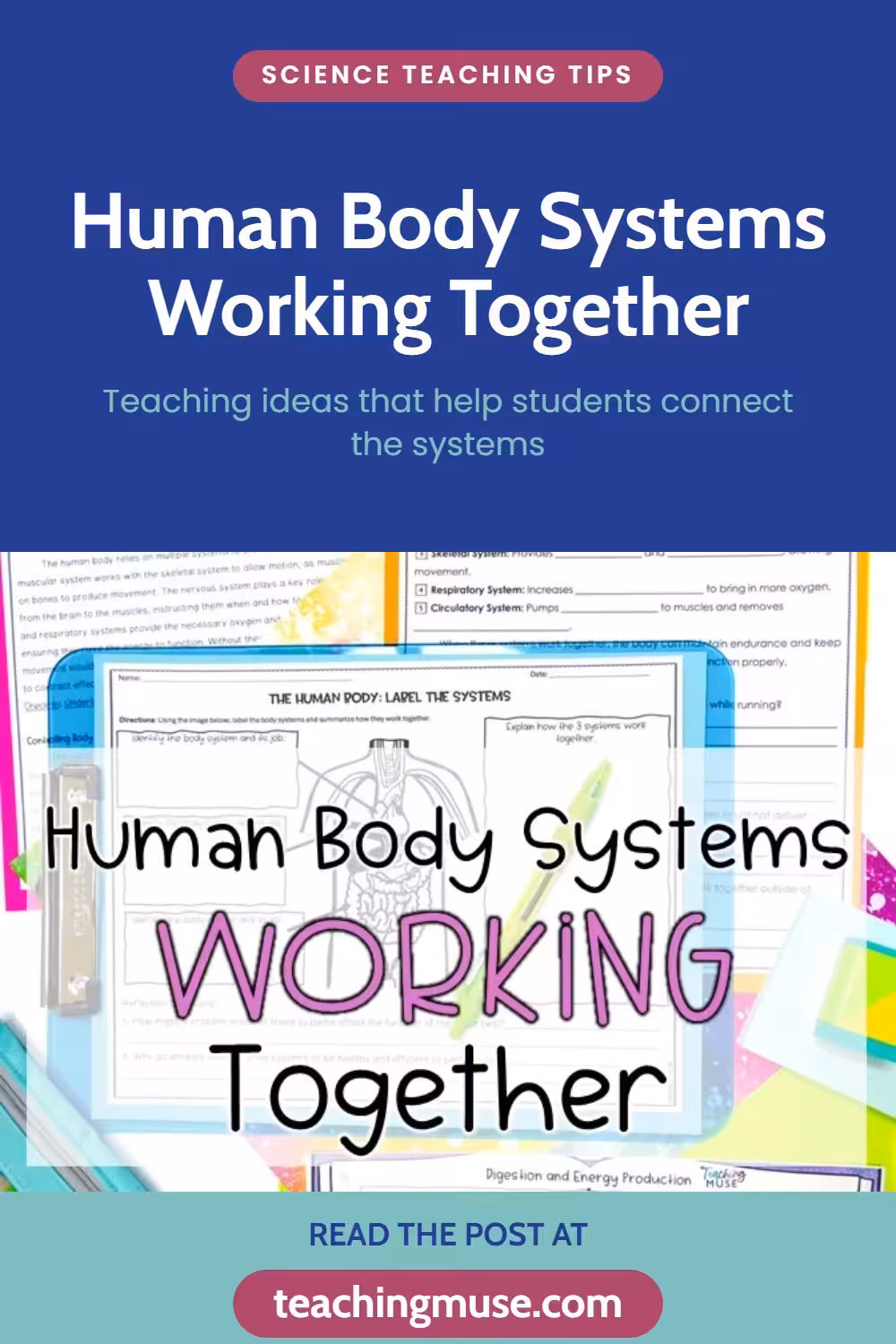 Human Body Systems Working Together - Teaching ideas that help students connect the systems