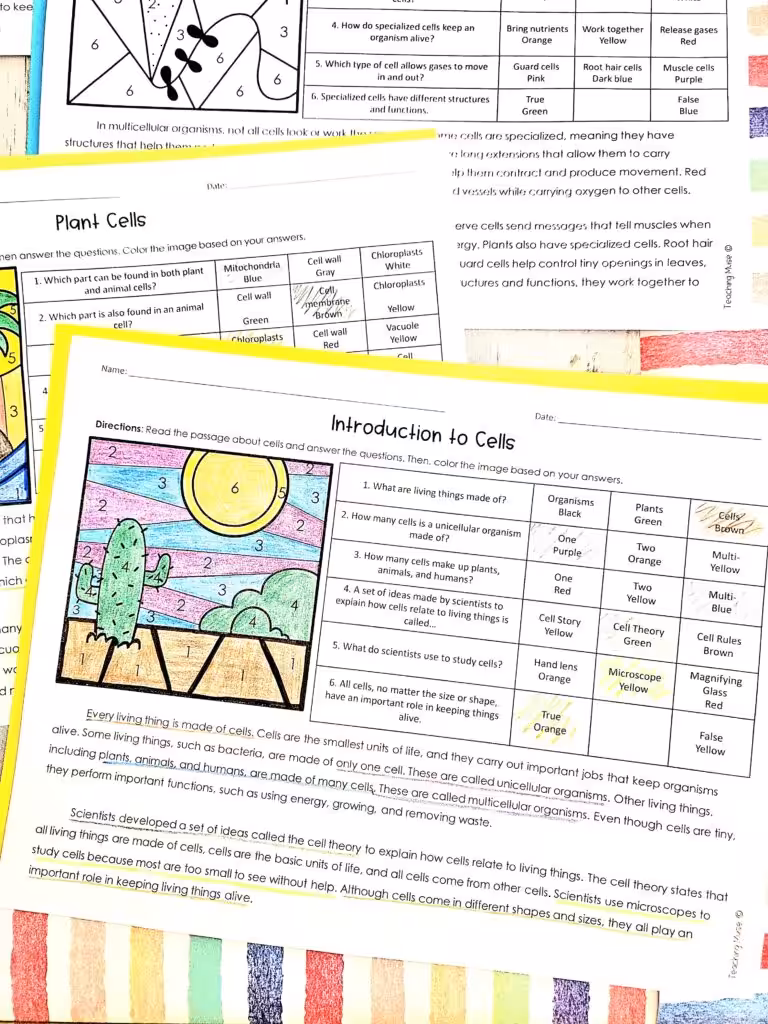 Plant vs animal cell review activity for grade 4-8 students