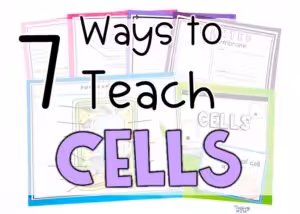 Home 10 BLOG 7 ways to teach plants and animals activities